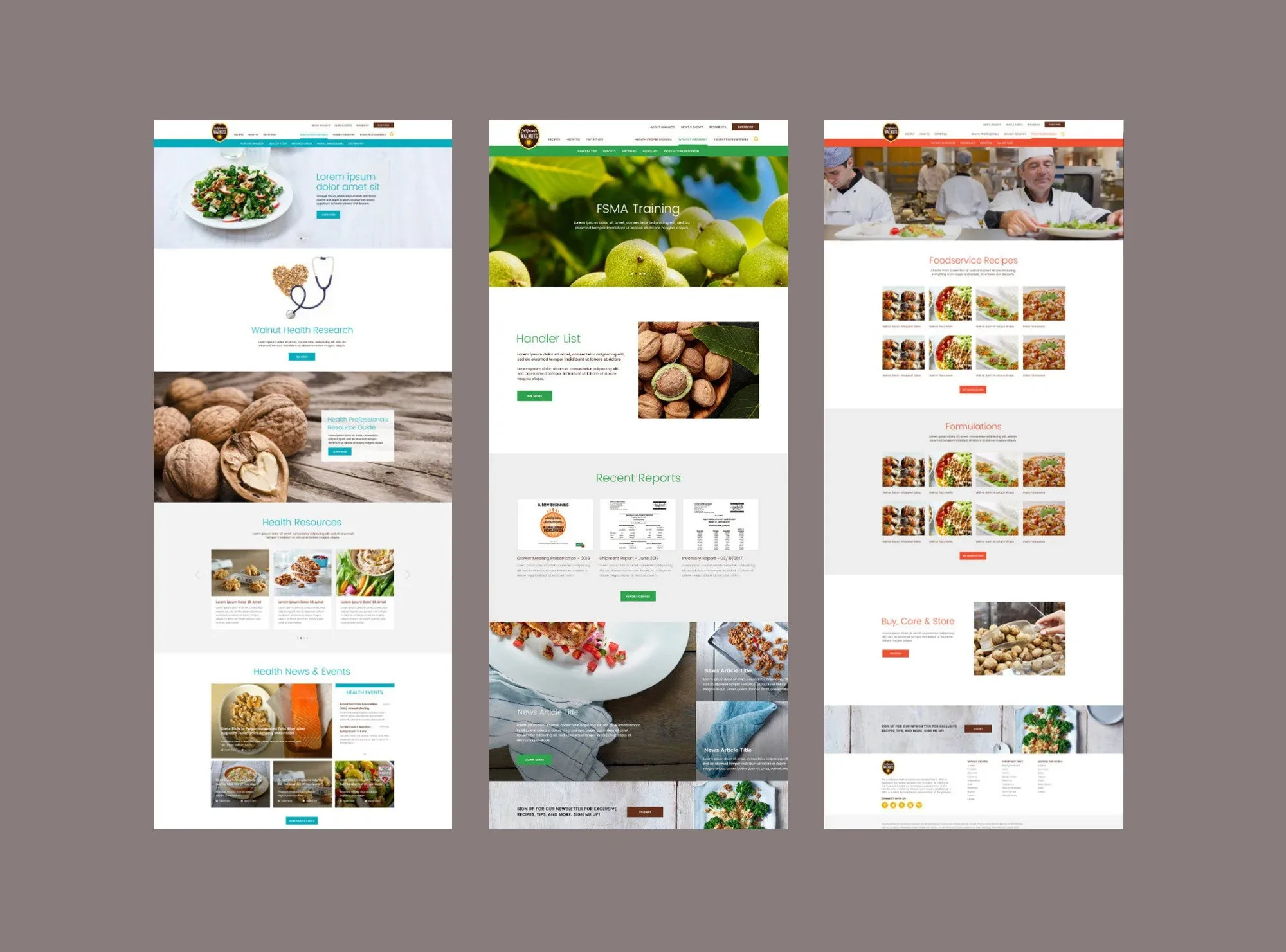 Three audience landing pages, for health professionals, the walnut industry, and foodservice professionals, each with its own color-coded header.
